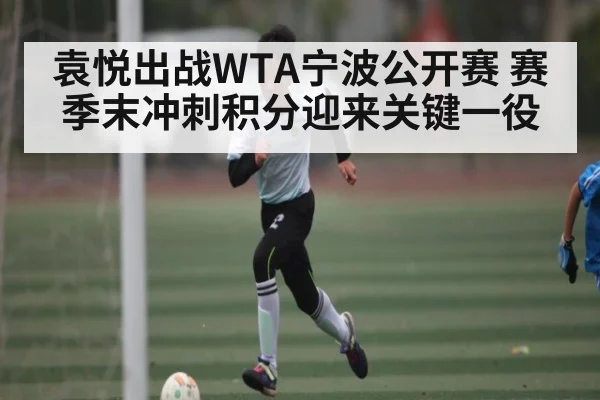 袁悦出战WTA宁波公开赛 赛季末冲刺积分迎来关键一役